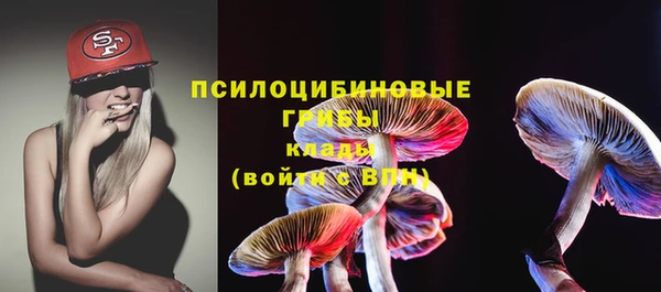 МДПВ Алексин