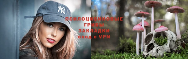 соль курить ск Алексеевка