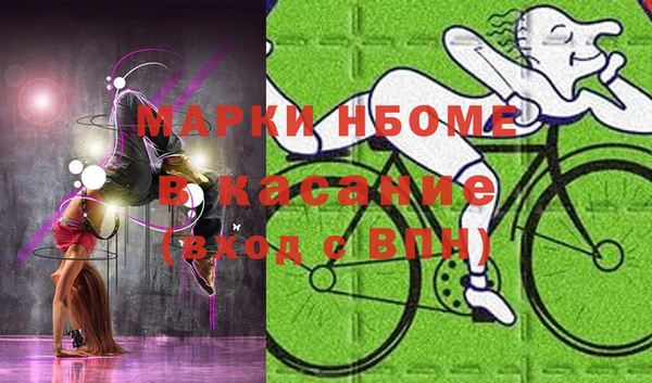 гашик Аркадак